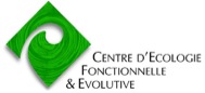 Logo Cefe